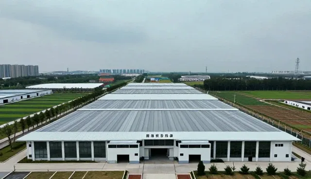 如何选择适合自己的考试辅导学习支持方案